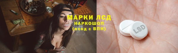 a pvp Аркадак