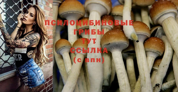 мдпв Рославль