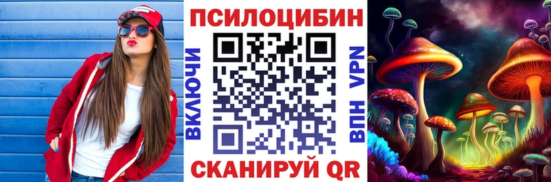 Псилоцибиновые грибы мицелий  Сунжа 